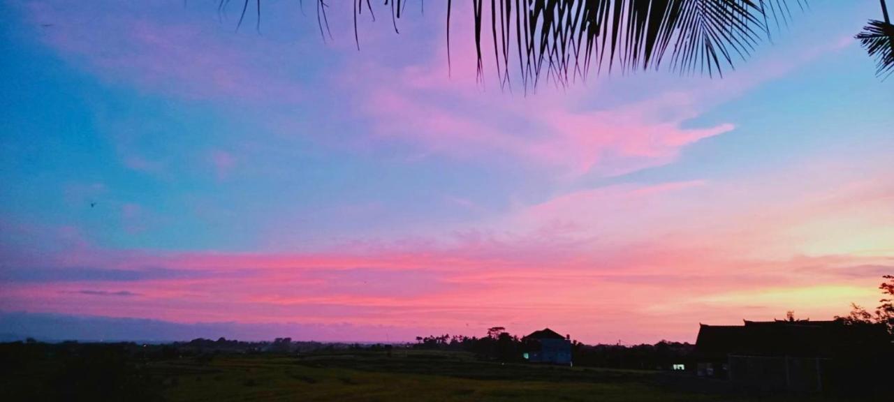 37 Sunset Village Bali Canggu Dış mekan fotoğraf