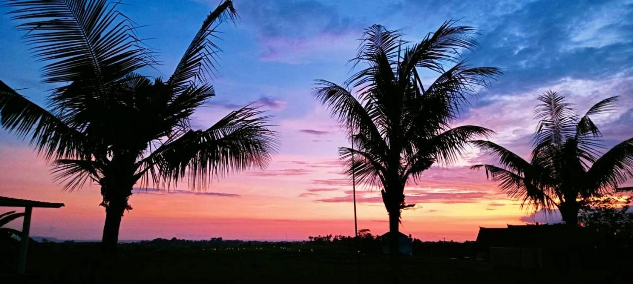 37 Sunset Village Bali Canggu Dış mekan fotoğraf